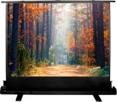 Проекционный экран CACTUS FloorExpert 90x160 CS-PSFLE-160X90