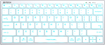 Клавиатура A4Tech Fstyler FX61 (серебристый/белый)