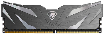 Оперативная память Netac Shadow II Black 16ГБ DDR4 2666МГц NTSWD4P26SP-16K