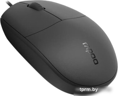 Rapoo N100 (черный) 