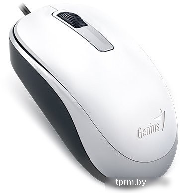 Мышь Genius DX-125 (белый) 