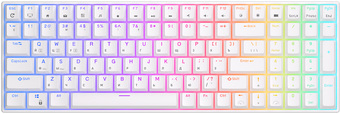 Клавиатура Royal Kludge RK100 RGB (белый, RK Red)