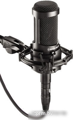 Микрофон Audio-Technica AT2035 