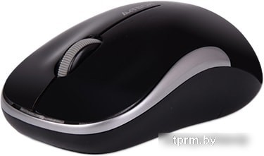 Мышь A4Tech G3-300N (черный/серебристый) 