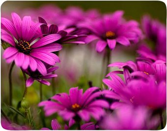 Коврик для мыши Buro BU-M20045