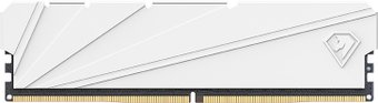 Оперативная память Netac Shadow S 8ГБ DDR4 2666 МГц NTSSD4P26SP-08W