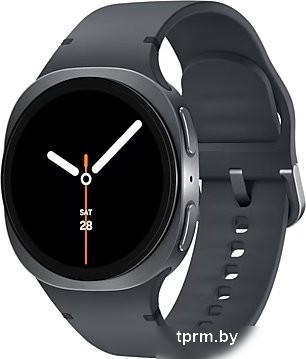 Умные часы Samsung Galaxy Watch8 40 мм LTE (графит) 