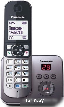 Радиотелефон Panasonic KX-TG6821 