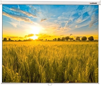 Проекционный экран Lumien Eco Picture 229x305 LEP-100116