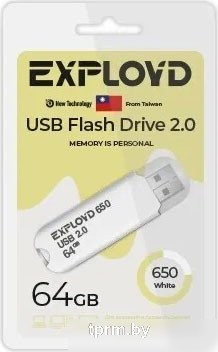 USB Flash Exployd 650 64GB (белый) 