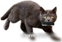 USB Flash Transcend JetFlash 780 32 Гб (TS32GJF780) 