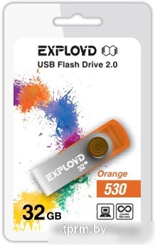 USB Flash Exployd 530 32GB (оранжевый) [EX032GB530-O] 