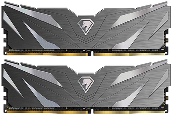 Оперативная память Netac Shadow II Black 2x8ГБ DDR4 3600МГц NTSWD4P36DP-16K