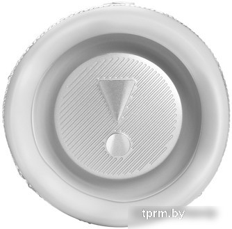 JBL Flip 6 (белый) 