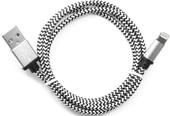 Кабель Cablexpert CC-ApUSB2sr1m