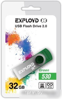 USB Flash Exployd 530 32GB (зеленый) [EX032GB530-G] 