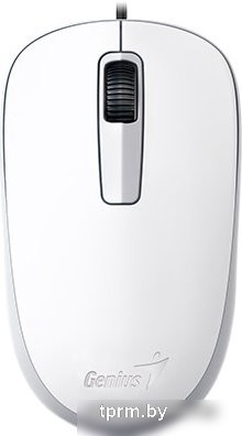 Мышь Genius DX-125 (белый) 