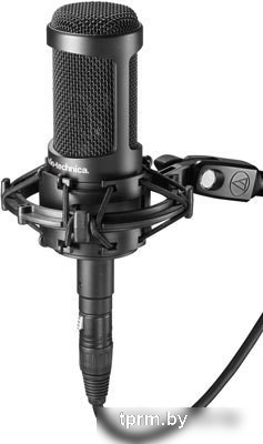 Audio-Technica AT2050 