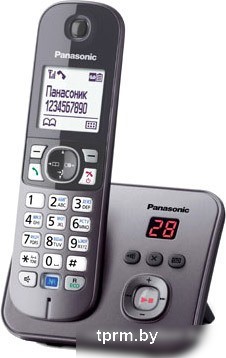 Радиотелефон Panasonic KX-TG6821 