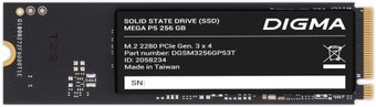 SSD Digma Mega P5 256GB DGSM3256GP53T
