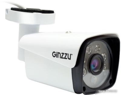 IP-камера Ginzzu HIB-5303A 