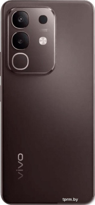 Телефон Vivo Y29 8GB/256GB международная версия (горячий шоколад) 