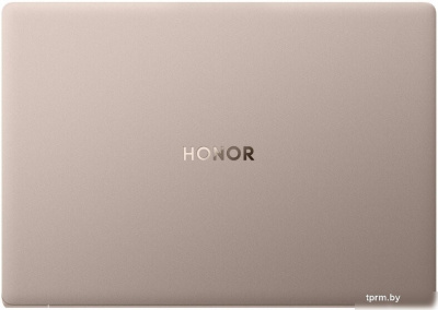 Ноутбук HONOR MagicBook Art 14 2025 MRB-A 5301AQHF 
