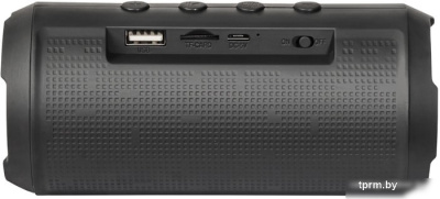 Беспроводная колонка Defender Enjoy S500 