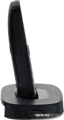 Panasonic KX-TGC310RU1 