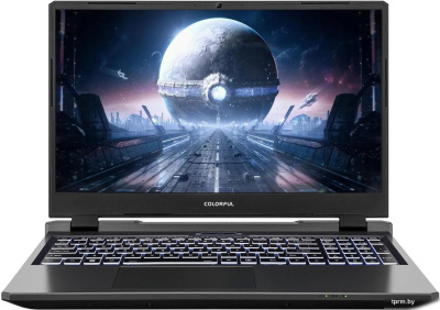 Игровой ноутбук Colorful Evol P15 24 A10205400054 