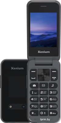 Телефон Xenium Xenium X680 (темно-серый) 