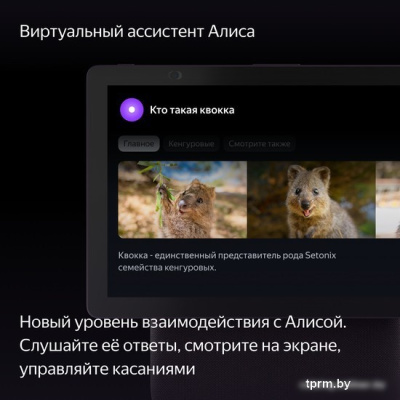 Яндекс Станция Дуо Макс (красный) 