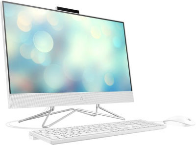Моноблок HP 24-df1 4X5E0EA+SNV2S/500G 