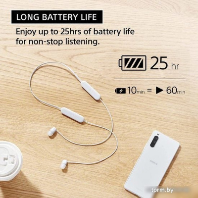 Наушники Sony WI-C100 (черный) 