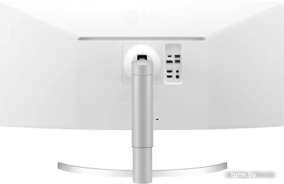 Монитор LG UltraWide 38WN95C-W 
