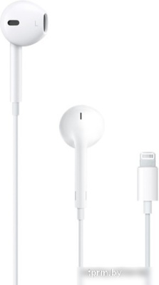 Наушники Apple EarPods с разъёмом Lightning [MMTN2ZM/A] 