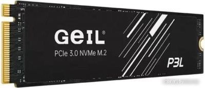 SSD GeIL P3L 256GB P3LFD16I256G 