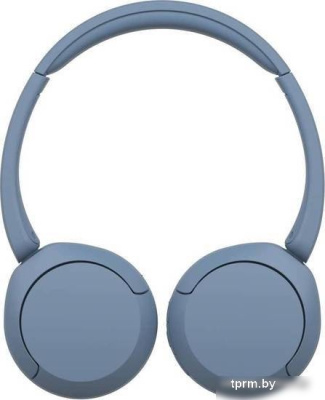 Наушники Sony WH-CH520 (синий) 