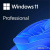 Операционная система Microsoft Windows 11 Pro 64-bit OEI DVD FQC-10547 (1 ПК, бессрочная лицензия, для корпоративного использования) 
