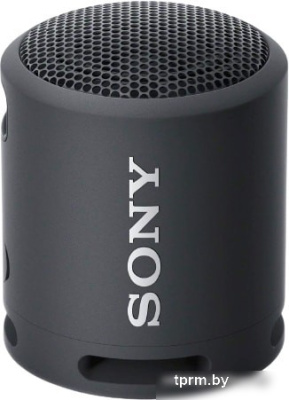 Sony SRS-XB13 (черный) 