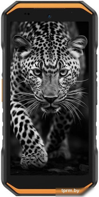 Телефон Ulefone Armor X32 6GB/128GB (черный/оранжевый) 