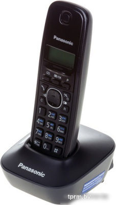 Радиотелефон Panasonic KX-TG1611RUH 