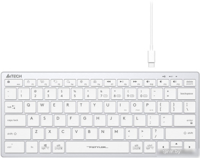 Клавиатура A4Tech Fstyler FBX51C (серебристый/белый) 