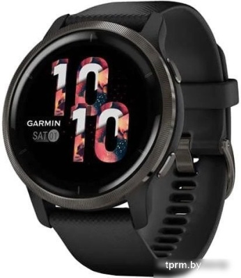 Garmin Venu 2 (сланцевая нержавеющая сталь/черный) 