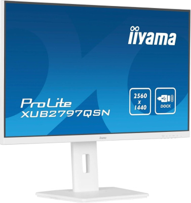 Монитор iiyama ProLite XUB2797QSN-W2 