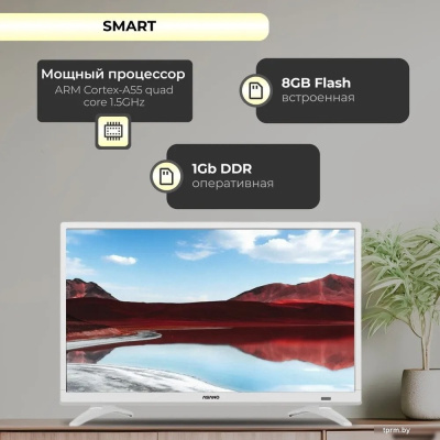 Телевизор ASANO 24LH8011T 