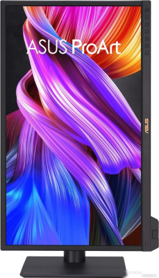 ASUS ProArt PA24US 