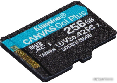Карта памяти Kingston Canvas Go! Plus microSDXC 256GB (с адаптером) 