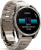 Garmin Fenix 8 Sapphire, Titanium 47мм (светло-серый, титановый ремешок) 