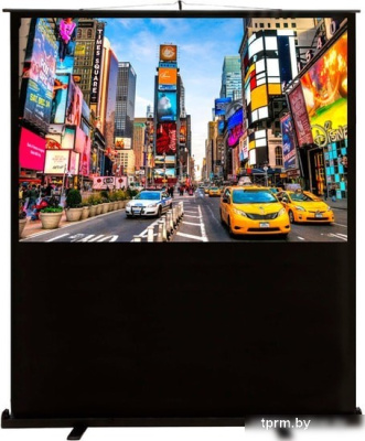 Проекционный экран CACTUS FloorCompactExpert 113x200 CS-PSFLCE-200X113 